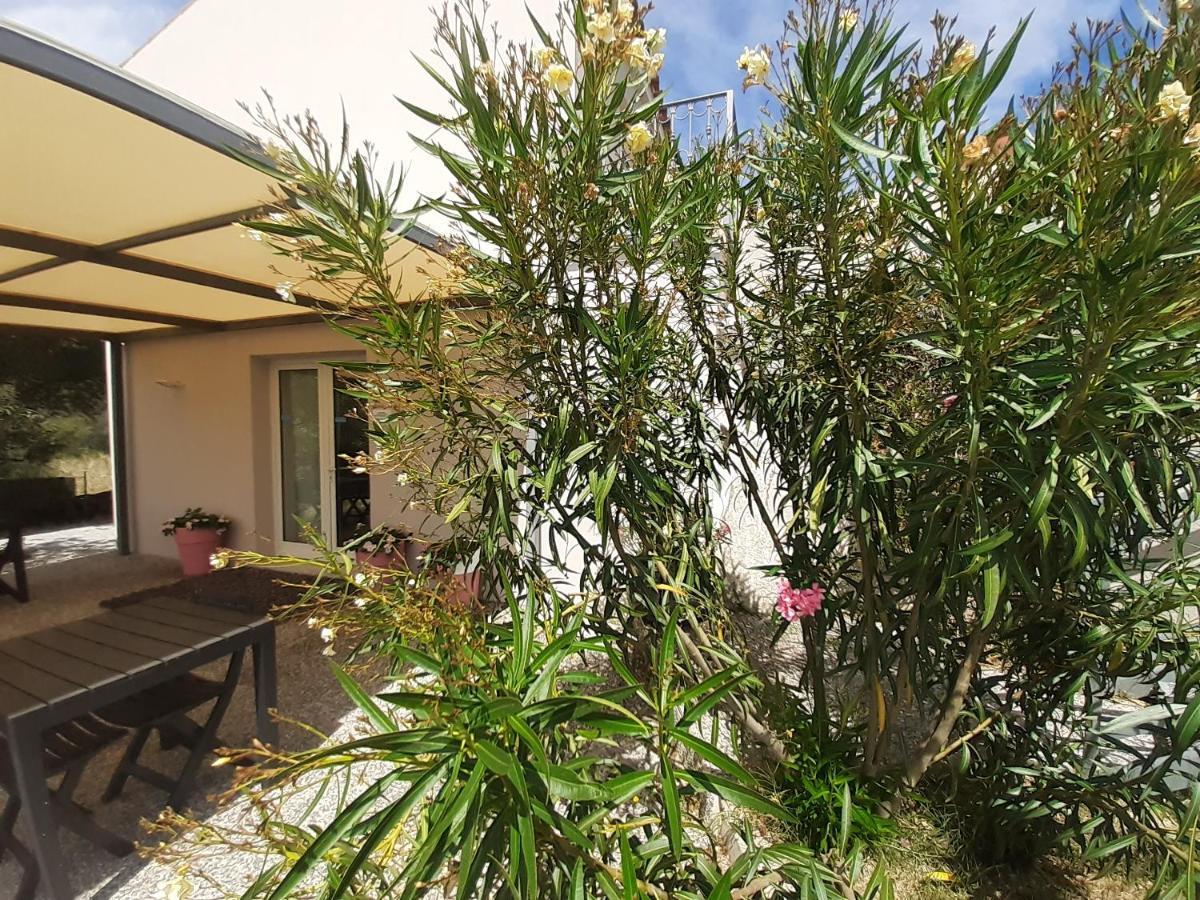 לינה וארוחת בוקר סאן תאודורו Sole&Sale מראה חיצוני תמונה